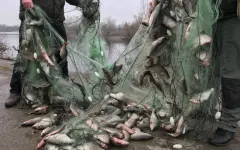Более 6 миллионов тенге выплатили казахстанцы за нарушения водного законодательства