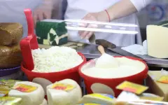 Костанайская область – лидер РК по производству и экспорту продуктов питания