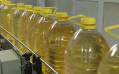 Экспорт растительных масел вырос на 12% за год