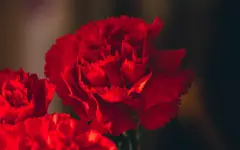 Прогноз погоды в Казахстане на 9 мая