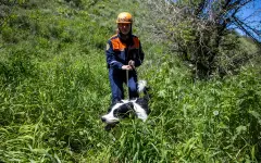 В Алматы нашли тело девушки, придавленной камнем в горах