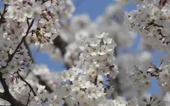 Прогноз погоды в Казахстане на 12 мая