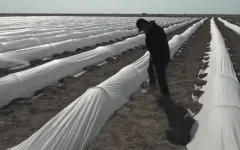 90% полей в Атырауской области перевели на водосберегающие технологии