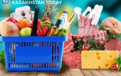 Казахстан и Беларусь намерены сотрудничать в агропромышленной сфере