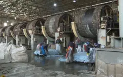 Строительство нового мясокомбината начали в области Абай