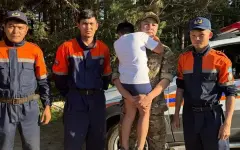 Ребенок потерялся в лесу во время отдыха с родителями в Карагандинской области