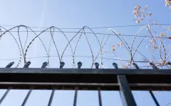 ЧП в колонии в СКО: осужденные нанесли себе увечья