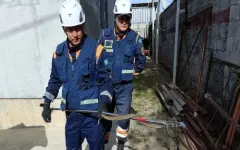 В Талгаре в частном доме обнаружили двухметровую змею