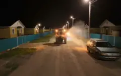 ₸20 млн направили на борьбу с комарами в Петропавловске