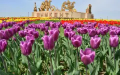 Туристический поток в Шымкент увеличился на 13,1%