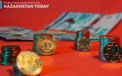 Корректировали 13 раз: ВАП раскритиковала исполнение бюджета 2024 года