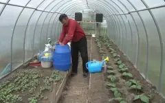 1300 сельчан реализовали бизнес-идеи в ЗКО за 2 года