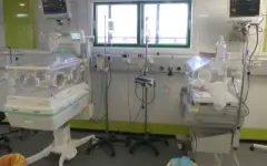 ООН: 14 тысяч новорождённых могут умереть в секторе Газа в течение двух суток