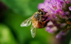 Теплая погода без дождей установится на большей части Казахстана