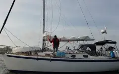 Американец бросил нелюбимую работу и путешествует с котом