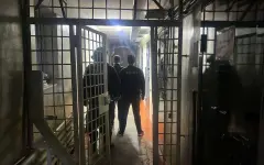 Саженцы на полмиллиарда тенге похитили из резервата «Семей орманы»
