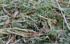 Синоптики прогнозируют похолодание в Астане до 2 °C