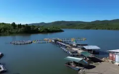На востоке Казахстана развивают промышленное рыбоводство
