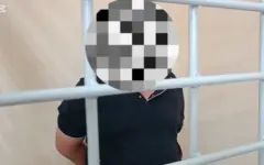 Признание подозреваемого в нападении на женщину в Сатпаеве попало на видео
