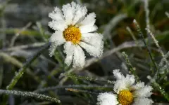 Заморозки, ливни и сильная жара: какой будет погода в Астане, Алматы и Шымкенте 24-26 мая