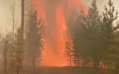 Лесные пожары в Бурятии: огнём охвачено почти 14 тысяч га леса