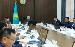 Бозумбаев обсудил с акимами развитие южных регионов