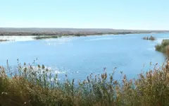 Озеро Камбаш снова наполняется водой в Кызылординской области
