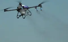 Агродроны впервые используют для борьбы с саранчой в ЗКО