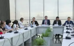 Рекордное количество отечественных фильмов выпустили в 2024 году
