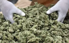 За сбыт марихуаны задержан житель Шымкента