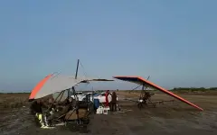 В Кызылординской области обработали 10 тысяч гектаров от саранчовых вредителей