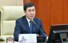 Это мракобесие, которому нет оправдания: спикер Мажилиса о краже невест