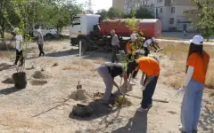 Студенты приняли участие в благоустройстве микрорайонов в Актау