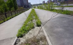 Вместо зеленых зон расширяются парковки