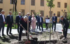 Возвращение сакуры
