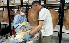 В Приаралье просо выращивали 2 200 лет назад