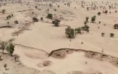 Учёные: число экстремально жарких дней увеличилось на месяц