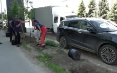 Липы, рябины и каштаны: высадка молодых деревьев  началась в  Уральске