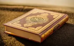 Во Франции мужчина похитил Коран из мечети и поджог его у порога здания