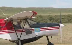 Малую авиацию используют в борьбе с саранчой в Карагандинской области