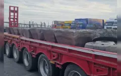 Казахстанские спецслужбы перекрыли схему контрабанды свинца