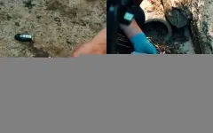 Видеоблогера задержали по подозрению в вымогательстве у бизнесмена в Атырау