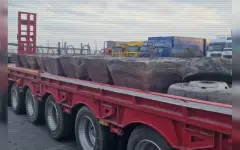 В области Жетысу пресекли попытку вывоза крупной партии свинца стоимостью 60 млн тенге