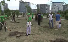 Берёзовую аллею посадили в центре Усть-Каменогорска