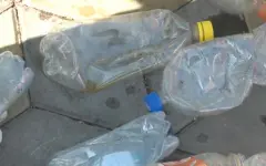 Экоакции провели в День охраны окружающей среды в Караганде