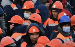 Италия предоставит трудовым мигрантам из Узбекистана 1500 рабочих мест