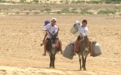 Водопровод строят в отдалённых сёлах Кызылординской области