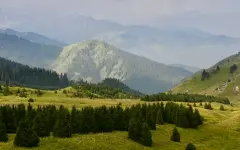 Пять человек заблудились в горах Алматы за одну ночь