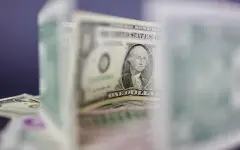 Владелец отеля в Турции украл 30 млн долларов с карт туристов