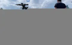 Как привлечь к ответственности самокатчика за наезд на пешехода — адвокат